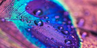 La tendencia predominante para 2016: Color